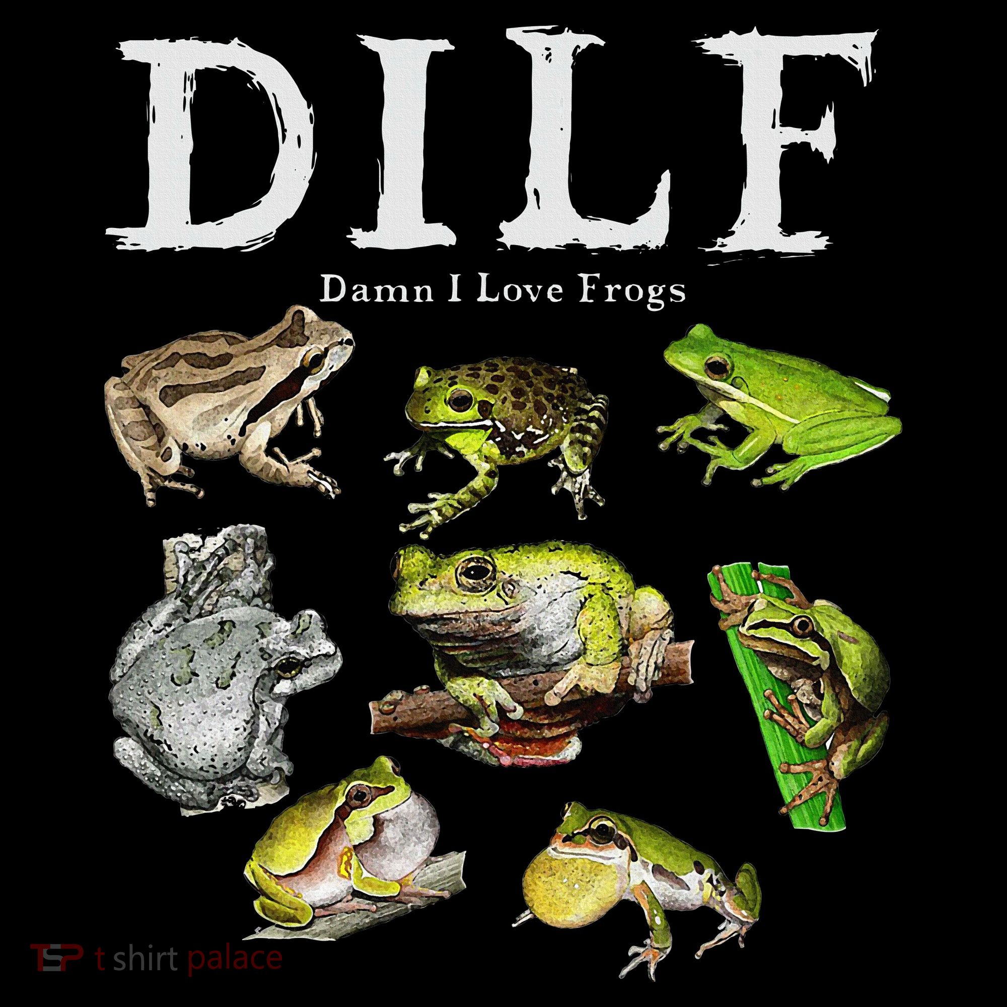 Dilf Damn I Love Frogs Frog Species Graphic Women's Hoodie