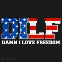 DILF Damn I Love Freedom Funny Patriotic 4th Of July Women's Hoodie thumb 2