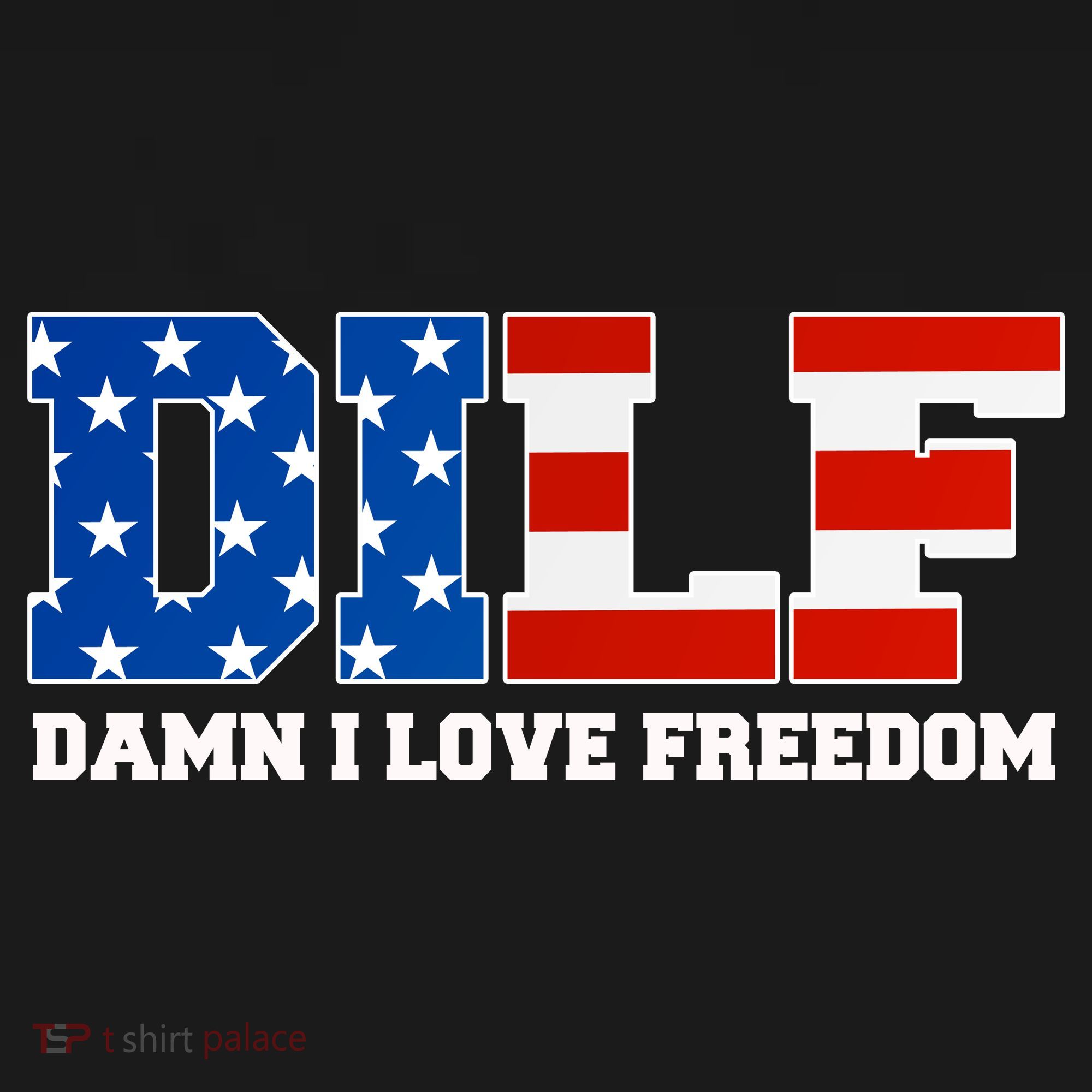 DILF Damn I Love Freedom Funny Patriotic 4th Of July Women's Hoodie