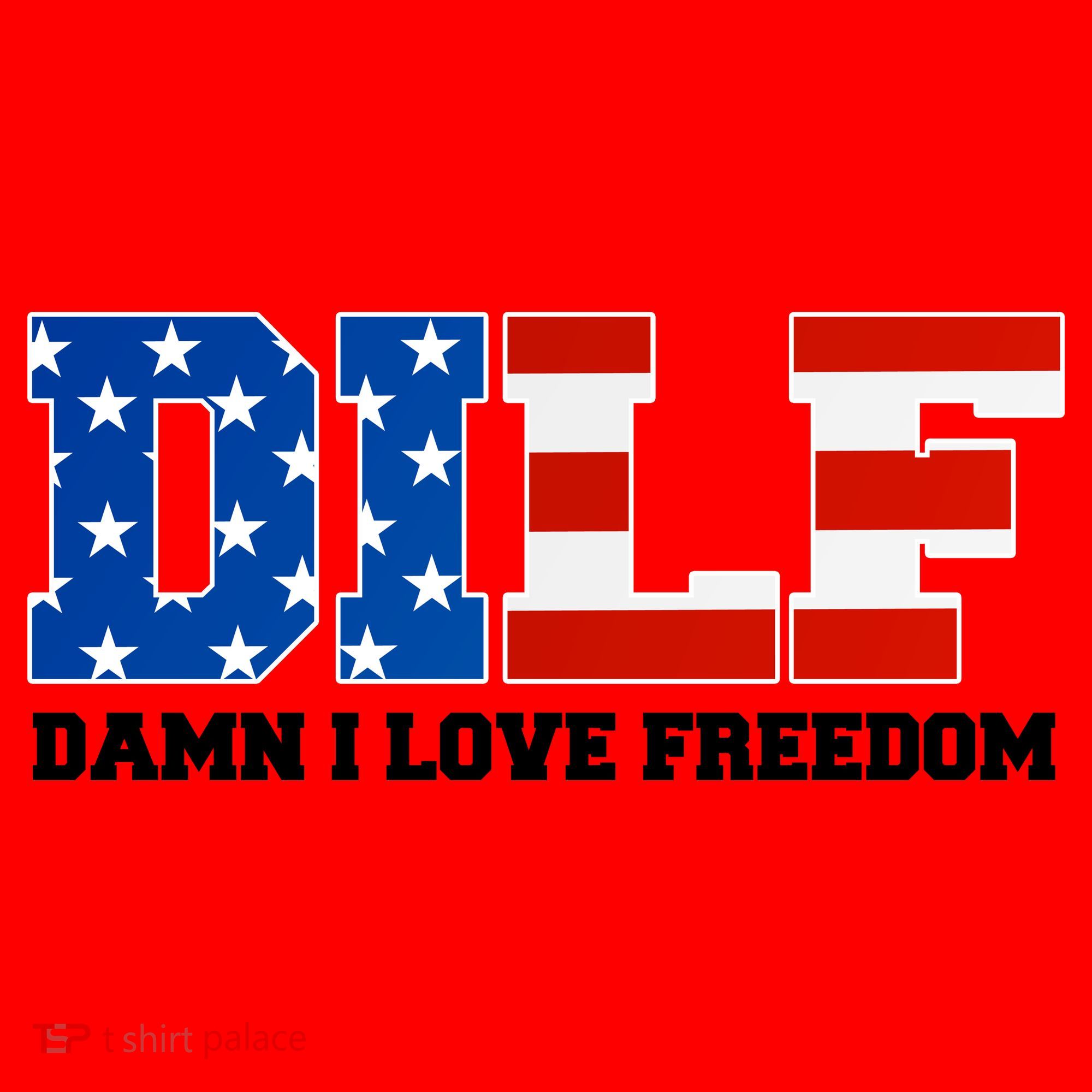 DILF Damn I Love Freedom Funny Patriotic 4th Of July Santa Hat