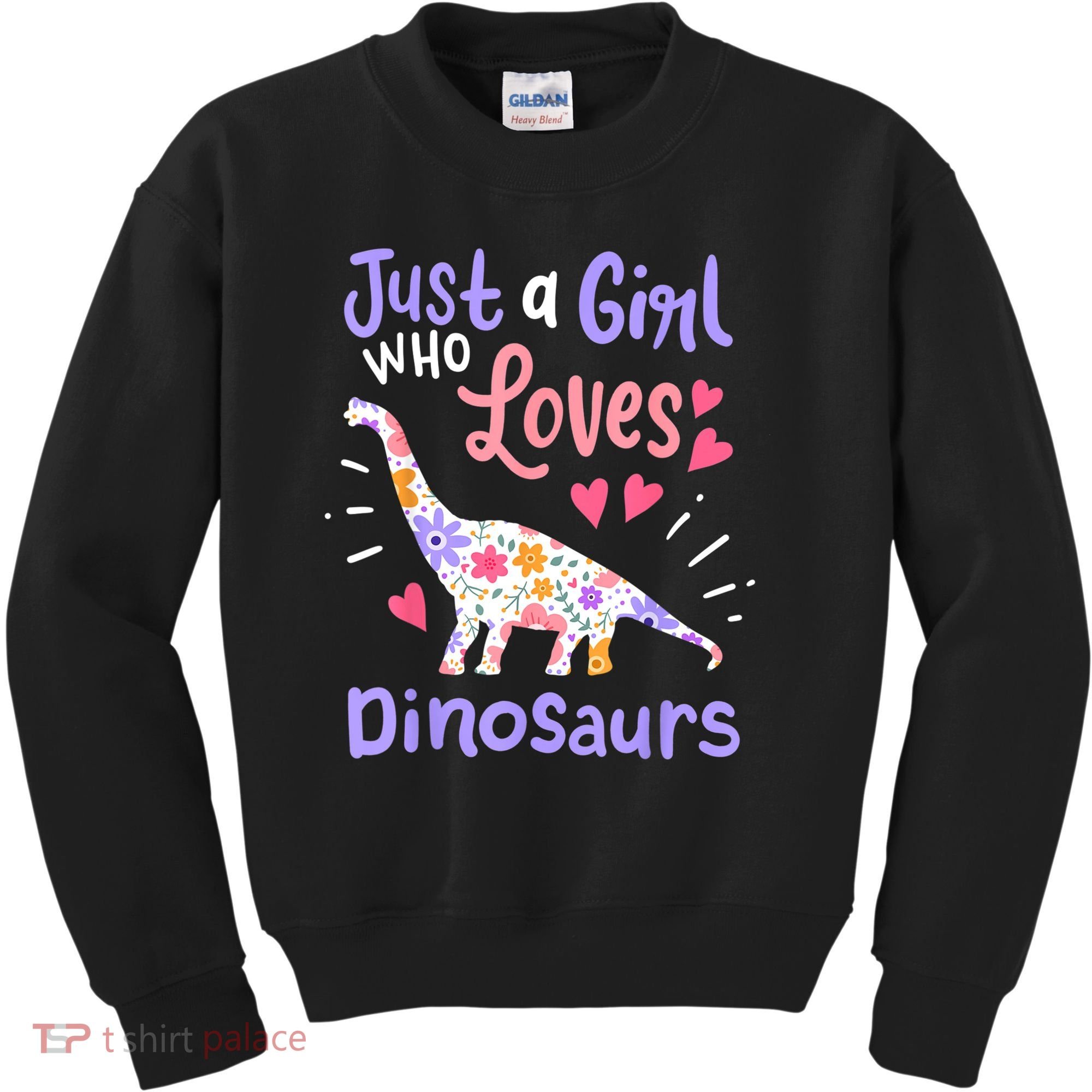 Dinosaur Dinosaur Just A Girl Who Loves Dinosaur Kids Sweatshirt