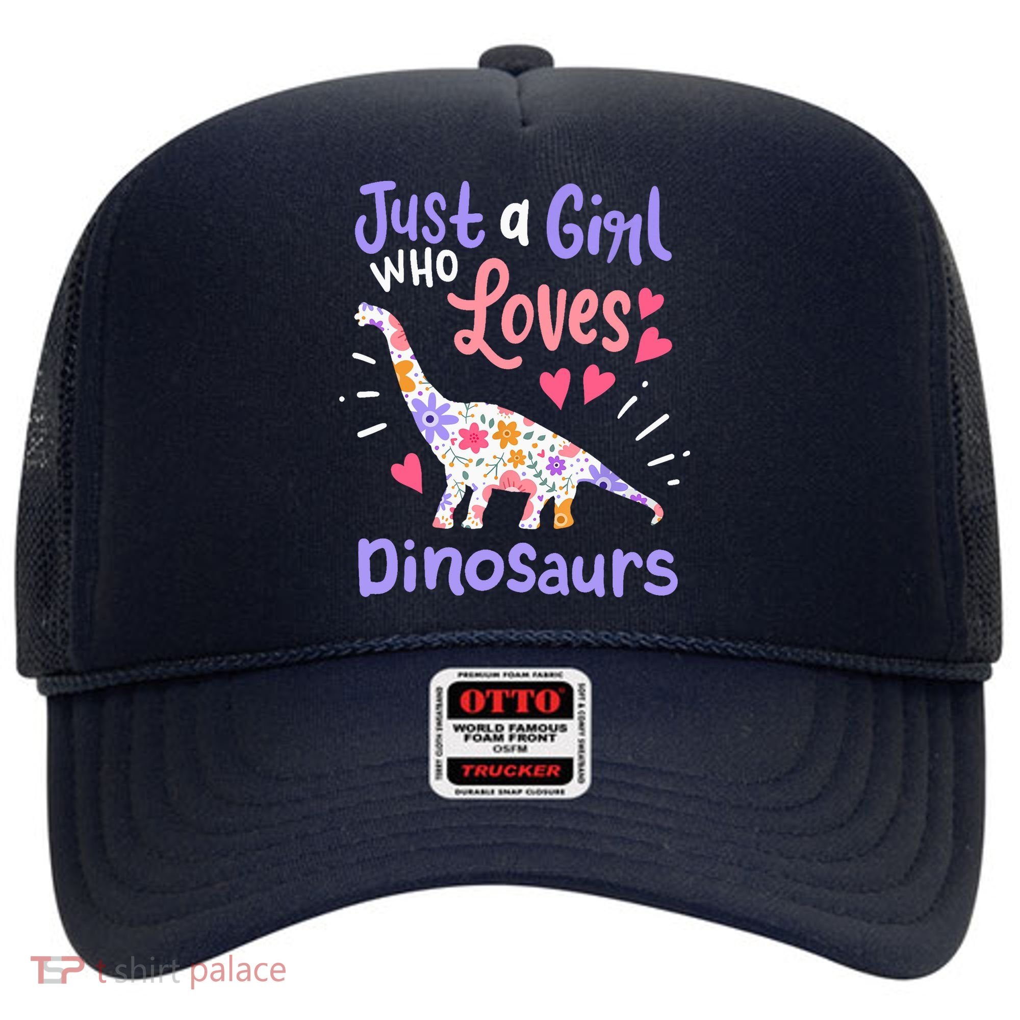 Dinosaur Dino Just a Girl Who Loves Dinosaurs Hat