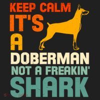 Doberman Dog Keep Calm ItS A Doberman Not A Shark Beanie thumb 2