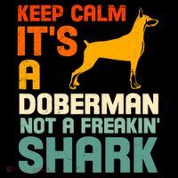 Doberman Dog Keep Calm ItS A Doberman Not A Shark Women's Hoodie thumb 2