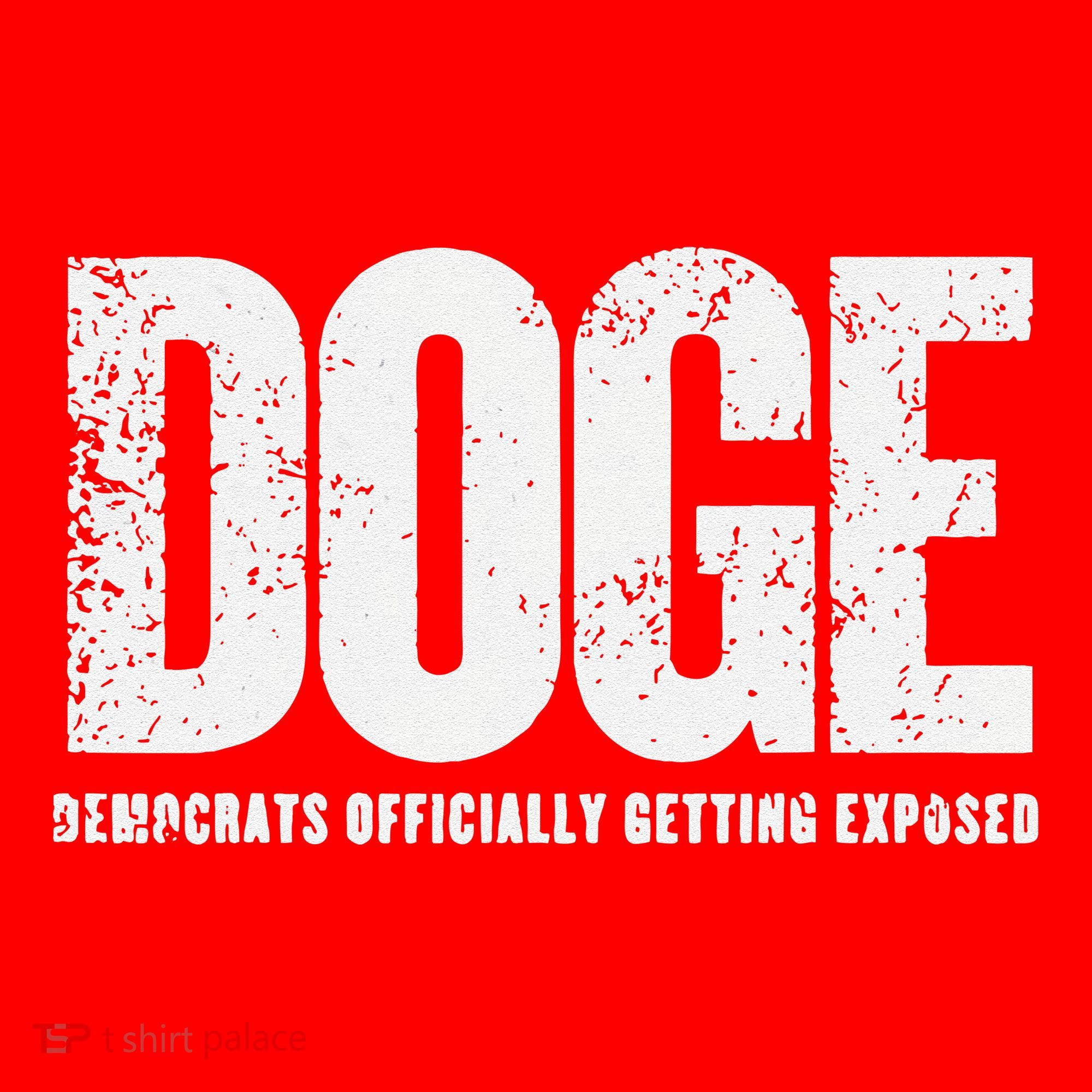 Doge Democrats Ly Getting Exposed Santa Hat