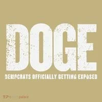 Doge Democrats Ly Getting Exposed Hoodie thumb 2