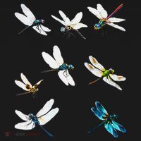 Dragonfly Dragonflies Natural Mosquito Repellent Biting Bugs Kids Sweatshirt thumb 2