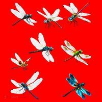 Dragonfly Dragonflies Natural Mosquito Repellent Biting Bugs Santa Hat thumb 1