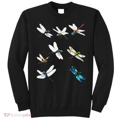 Dragonfly Dragonflies Natural Mosquito Repellent Biting Bugs Sweatshirt
