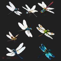 Dragonfly Dragonflies Natural Mosquito Repellent Biting Bugs Beanie thumb 2