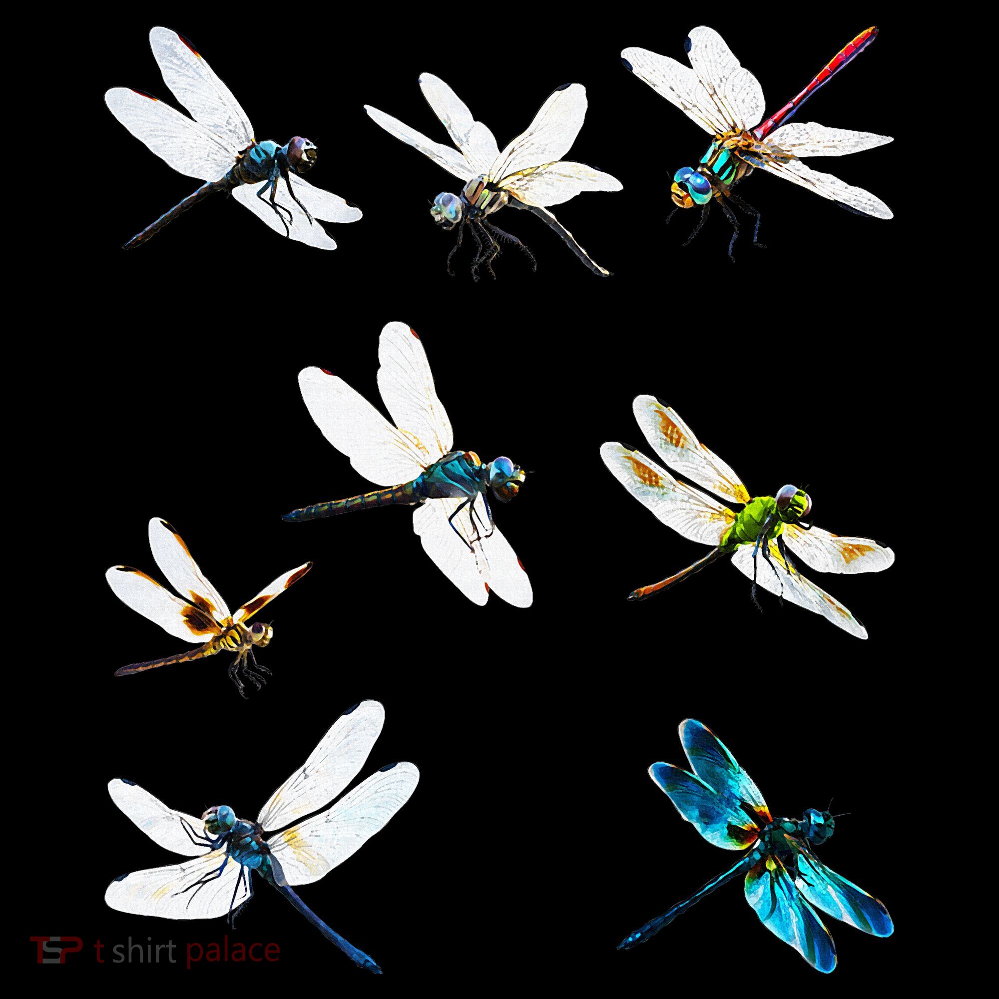 Dragonfly Dragonflies Natural Mosquito Repellent Biting Bugs Women's Hoodie