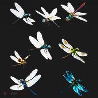 Dragonfly Dragonflies Natural Mosquito Repellent Biting Bugs Women's Tank Top thumb 5