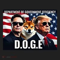 Doge Department Of Government Efficiency Women's Sweatshirt thumb 2