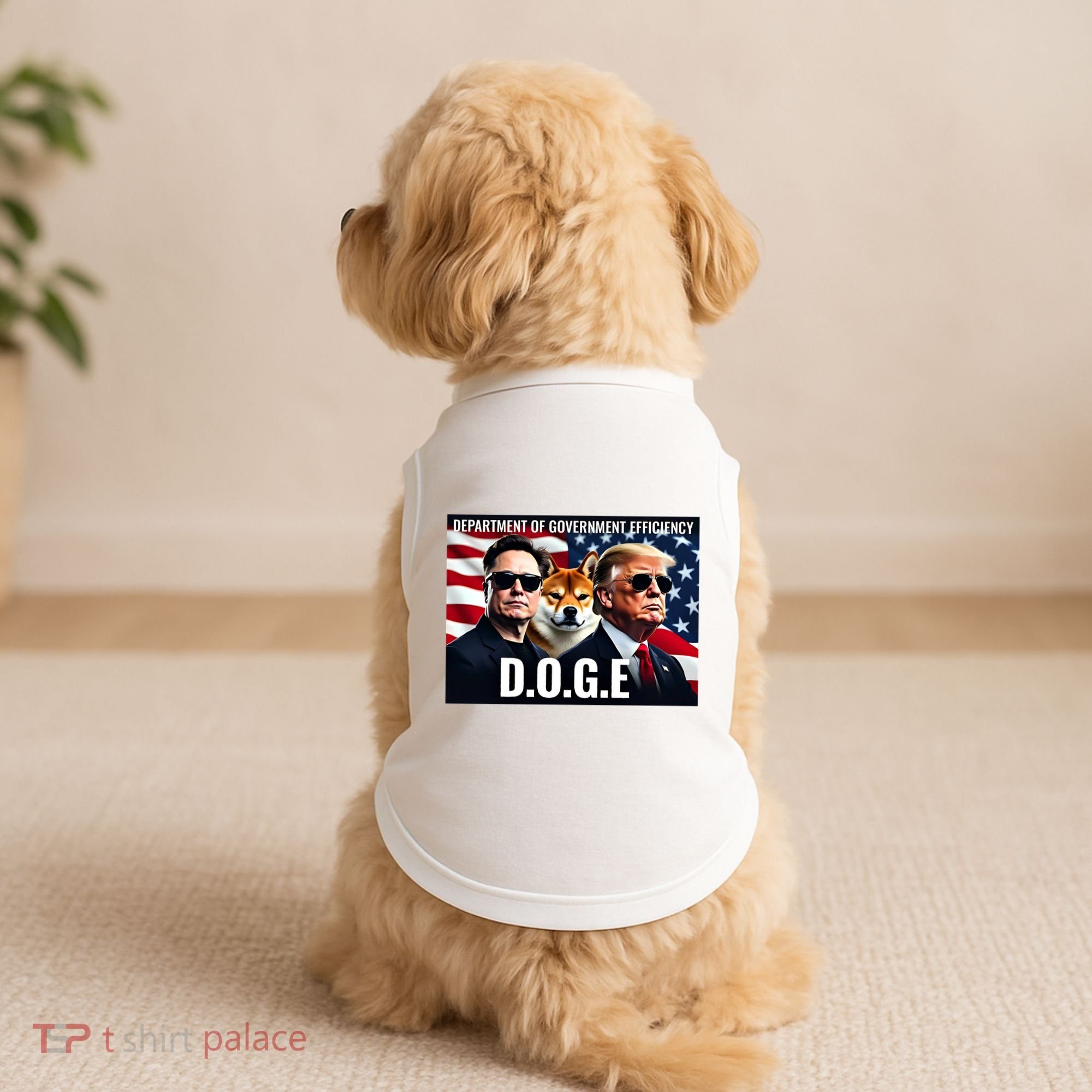 Doge Department Of Government Efficiency Doggie Tank