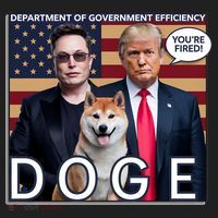 Doge Department Of Government Efficiency Hat thumb 2