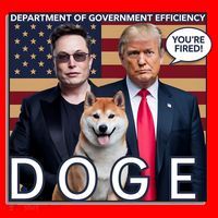 Doge Department Of Government Efficiency Santa Hat thumb 1
