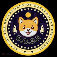 D.O.G.E Department Of Government Efficiency Crypto Cbdc Women's Hoodie thumb 2