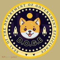 D.O.G.E Department Of Government Efficiency Crypto Cbdc Kids T-Shirt thumb 2
