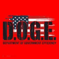 Doge Department Of Government Efficiency D.O.G.E Santa Hat thumb 1