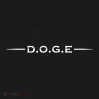 Doge Department Of Government Efficiency Doge Women's Hoodie thumb 2