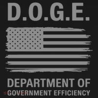 Doge Department Of Government Efficiency Women's Hoodie thumb 2
