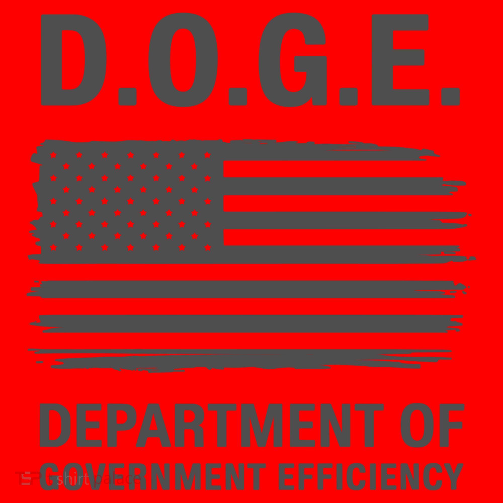 Doge Department Of Government Efficiency Santa Hat
