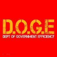 Doge Department Of Government Efficiency Santa Hat thumb 1