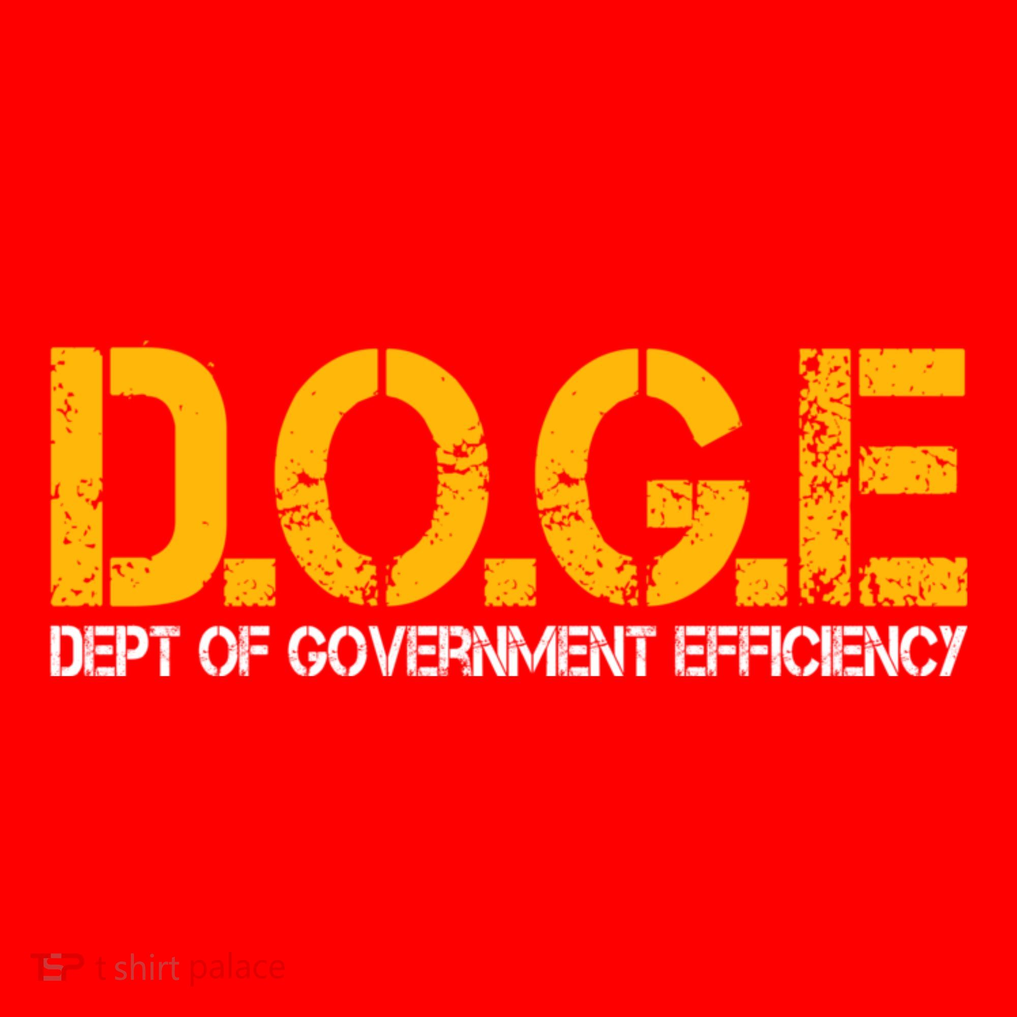 Doge Department Of Government Efficiency Santa Hat