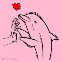 Dolphin Coaster thumb 2