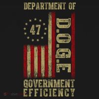 Doge Department Of Government Efficiency Women's Hoodie thumb 2