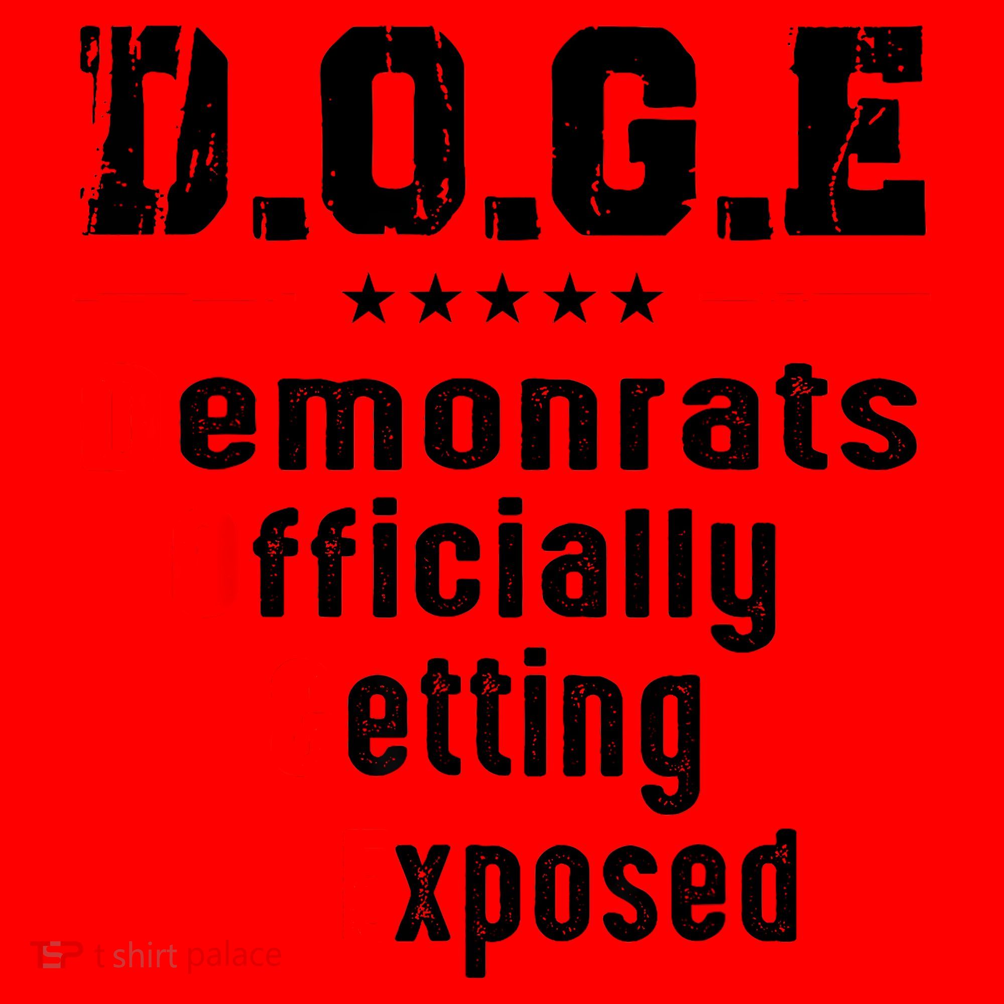 Doge Democrats Officially Getting Exposed Santa Hat