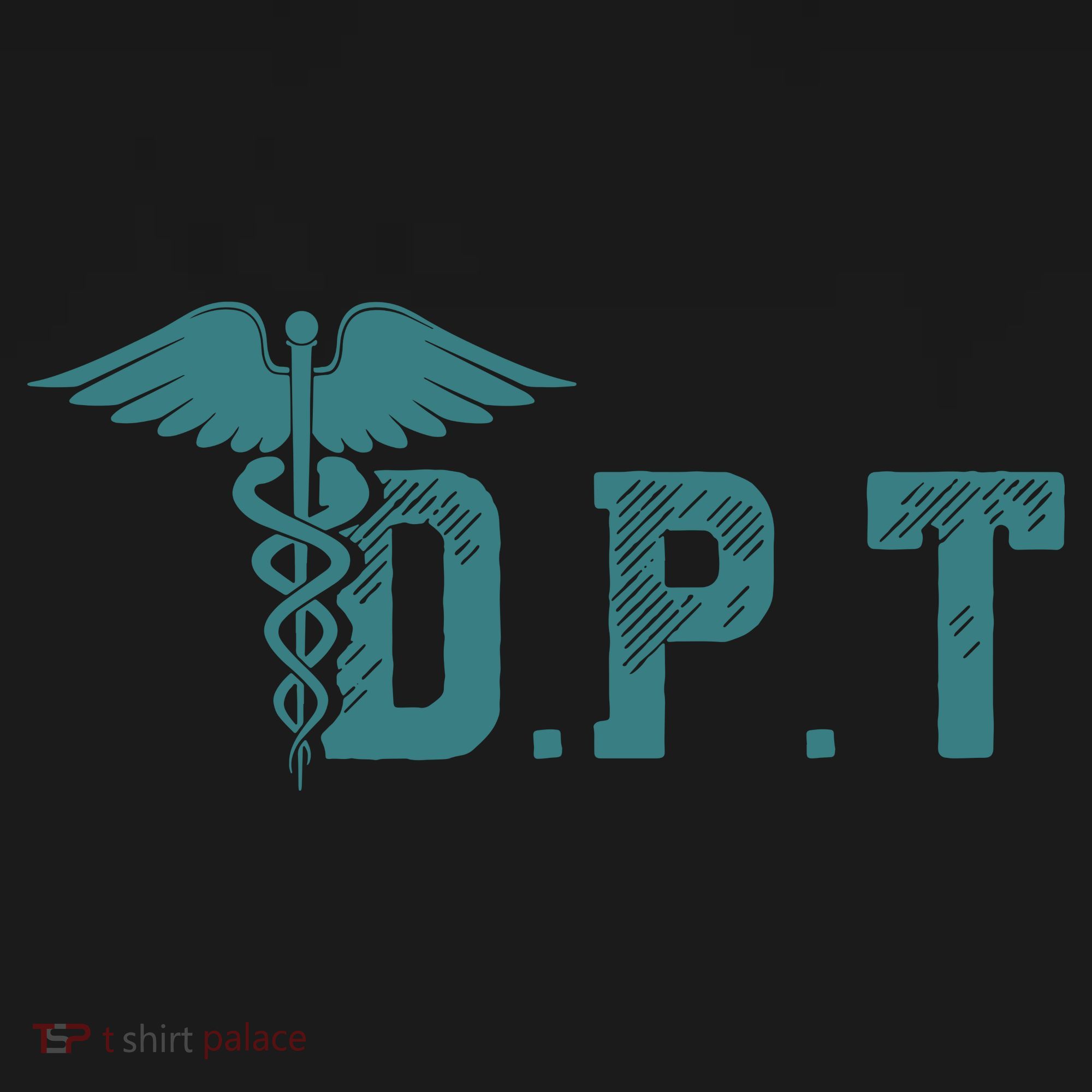 DPT Doctor Of Physical Therapy Student Therapist Gift Ornament