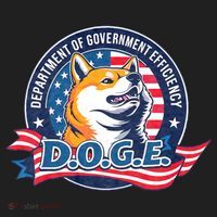 D.O.G.E Department Of Government Efficiency Doge Beanie thumb 2