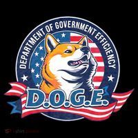 D.O.G.E Department Of Government Efficiency Doge Women's Hoodie thumb 2