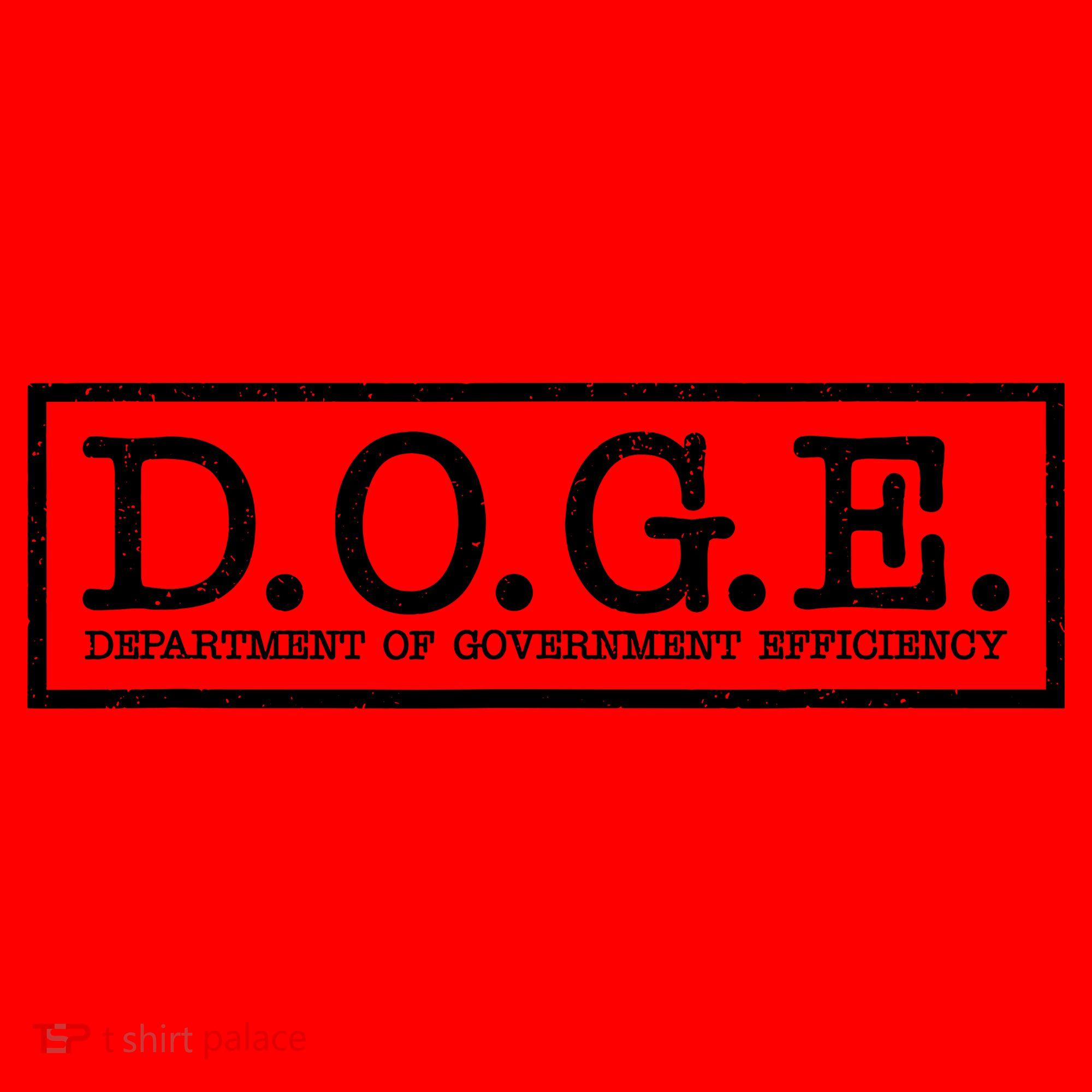 Doge Department Of Government Efficiency Santa Hat