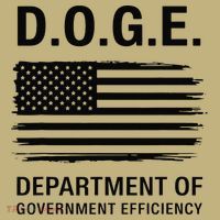 Doge Department Of Government Efficiency Gift Button thumb 1