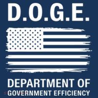 D.O.G.E Department Of Government Efficiency Doge Women's Hoodie thumb 2