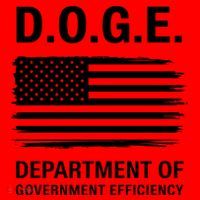 D.O.G.E Department Of Government Efficiency Doge Santa Hat thumb 1