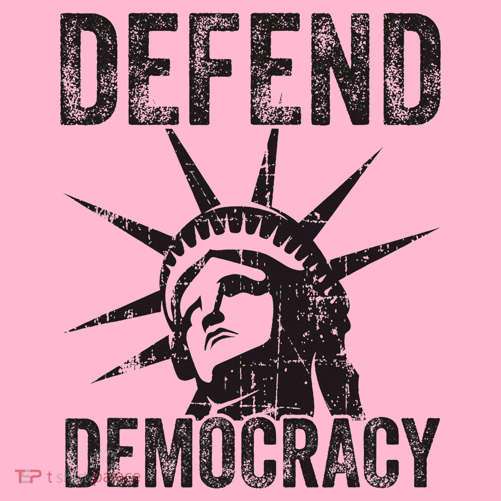 Defend Democracy Protect Voting Rights Save Vote Election Coaster