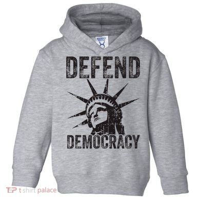 Defend Democracy Protect Voting Rights Save Vote Election Toddler Hoodie