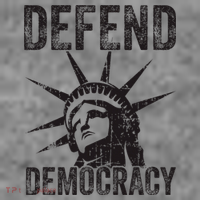 Defend Democracy Protect Voting Rights Save Vote Election Toddler Hoodie thumb 2