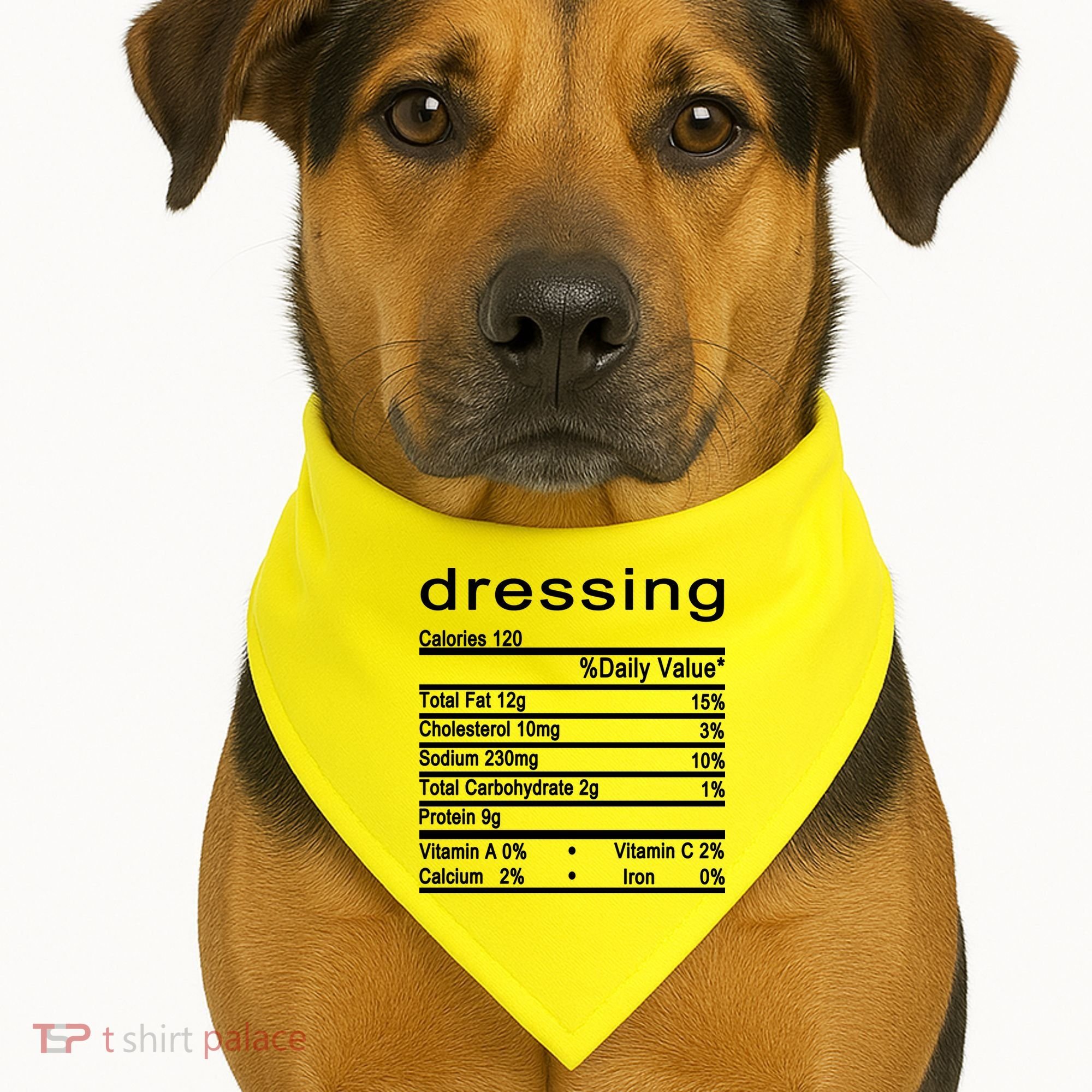 Dressing USA-Made Doggie Bandana
