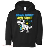 Dinosaur Down Right Awesome Down Syndrome Awareness Toddler Hoodie thumb 0