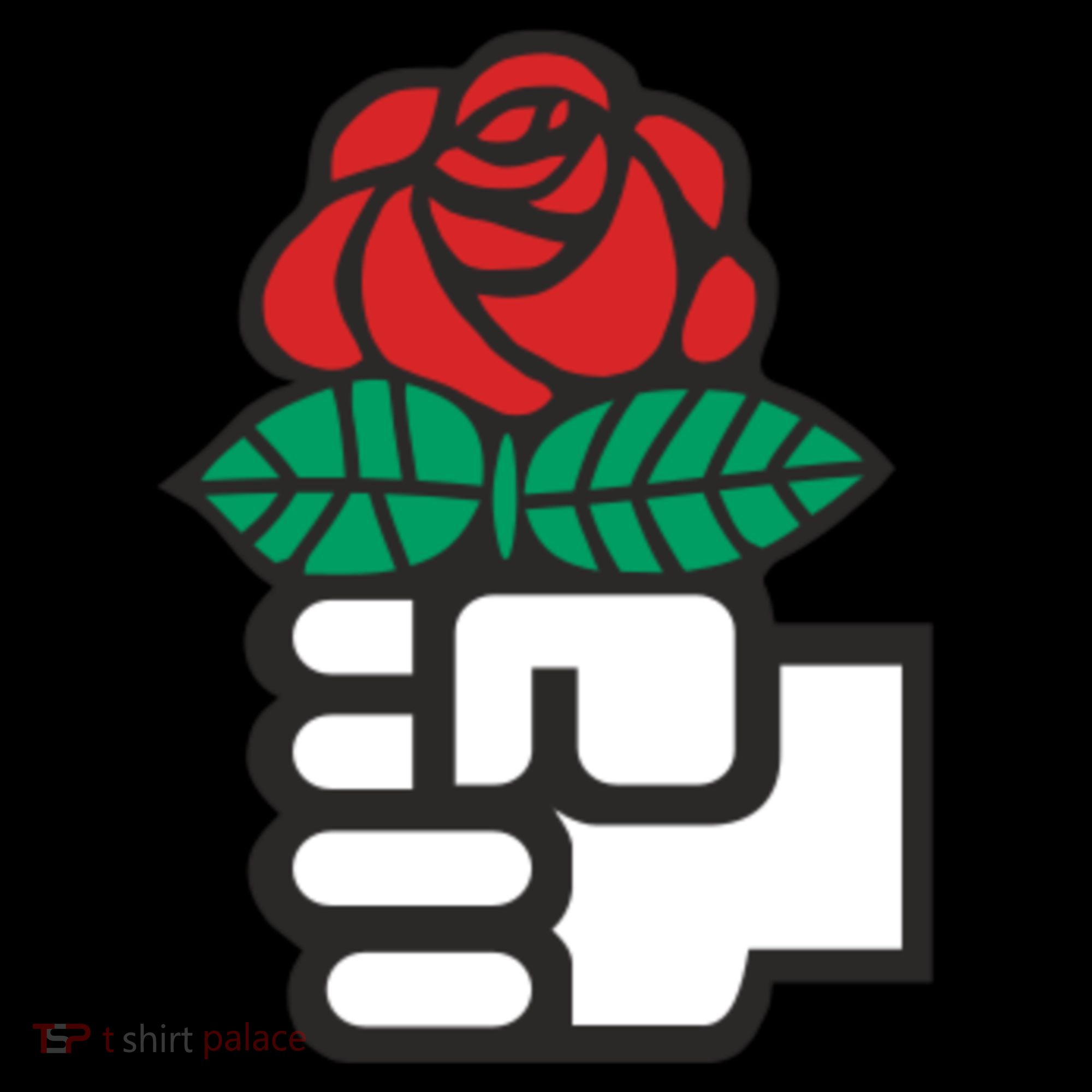 Dsa Democratic Socialists America Flowers Gift Meaningful Gift Coffee Mug