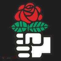 Dsa Democratic Socialists America Flowers Gift Meaningful Gift Beanie thumb 2