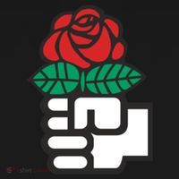 Dsa Democratic Socialists America Flowers Gift Meaningful Gift Women's Hoodie thumb 2