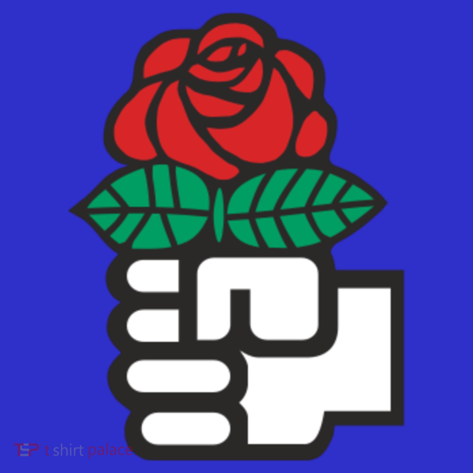 Dsa Democratic Socialists America Flowers Gift Meaningful Gift Sweatshirt