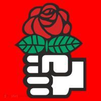 Dsa Democratic Socialists America Flowers Gift Meaningful Gift Santa Hat thumb 1