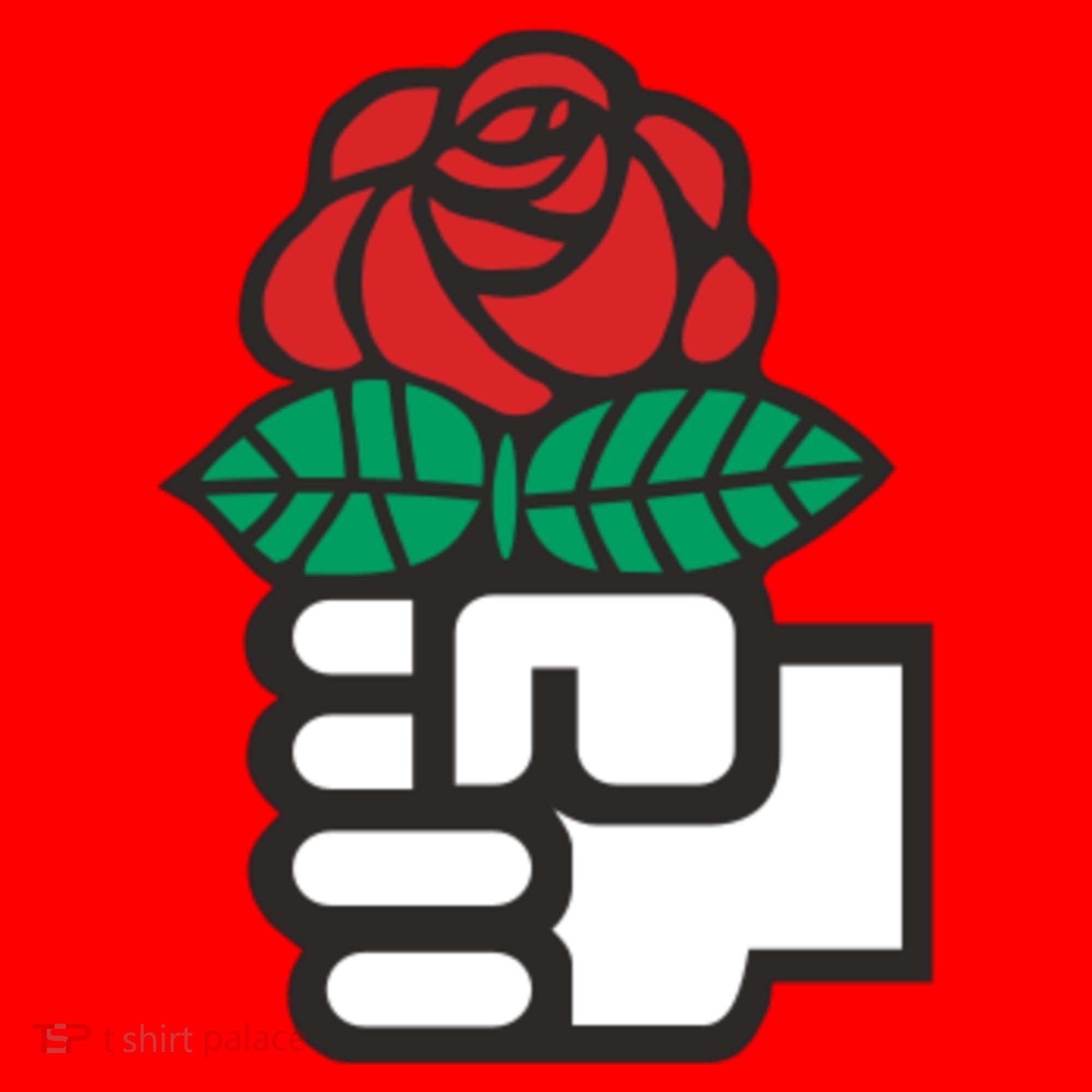 Dsa Democratic Socialists America Flowers Gift Meaningful Gift Santa Hat
