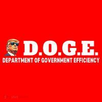 D.O.G.E. Doge Trump Department Of Government Efficiency Santa Hat thumb 1